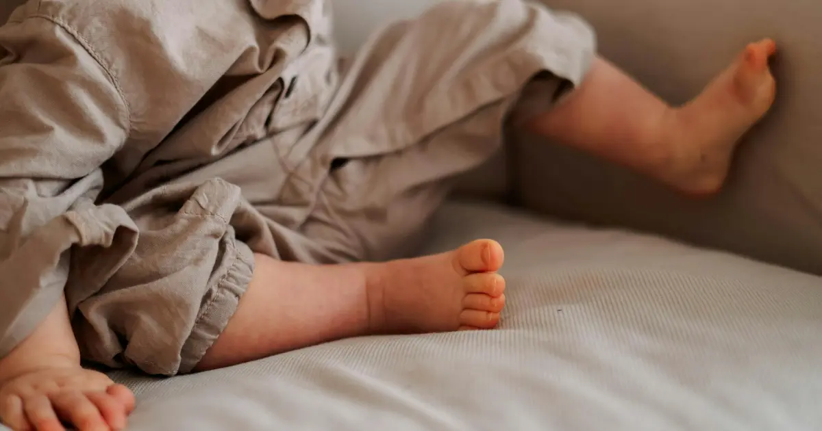 Tapizado Antimanchas: qué es, cómo funciona y por qué importa si tenés hijos o mascotas | Casamia Muebles