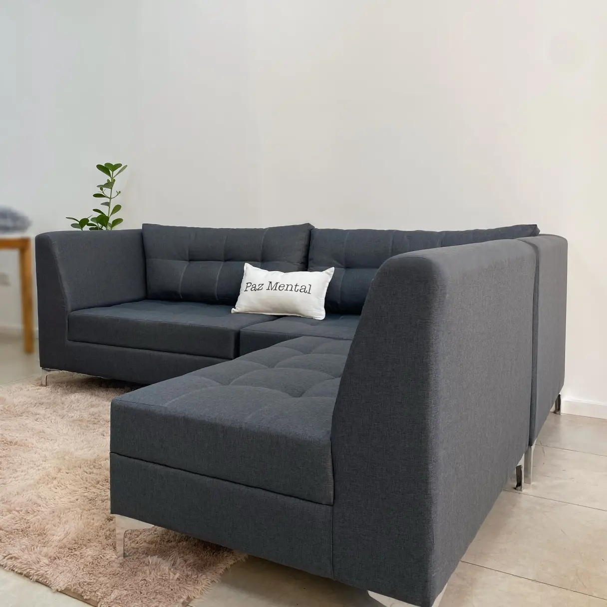 living seccionado | Casamia Muebles