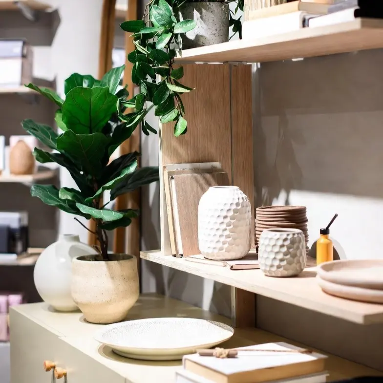 casamia living y sommier